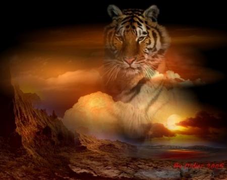 tigre